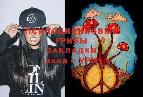 мдпв Ступино